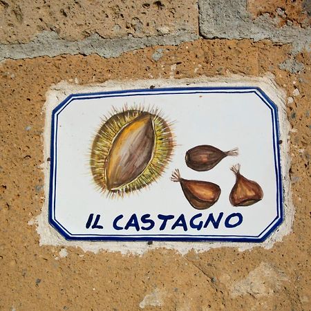 Agriturismo Cerqueto Acquapendente Szoba fotó